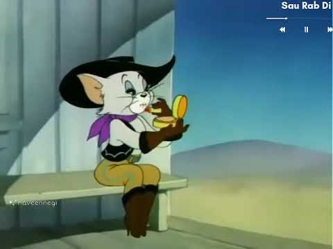 Sau Rab Di  Tom Impressing A Cat   Tom And JerryLoving Song tomandjerry