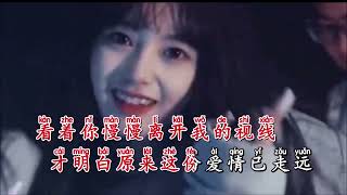雷婷 《你的选择(DJPad仔版)》 KTV 导唱字幕 (备有伴奏视频)