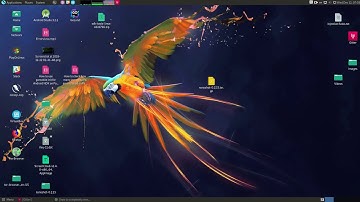 How to check wich Java Versions are installed With DPKG and GREP commands on Parrot Security Linux