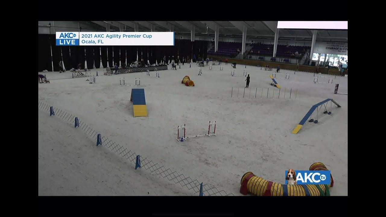 AKC Agility Premier Cup Round 2 Standard YouTube