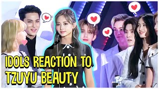 Kpop Idols Reaction To TWICE Tzuyu Beauty