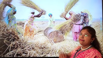 11TH FEB PAN INDIA CLASS IV SCIENCE AMAZING ASSIGNMENT KEY