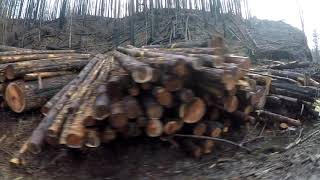 Celebrity McKenzie River Trust – Partnering in Habitat Restoration Net Worth
