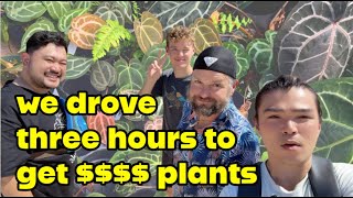 Ready To Have Your Mind BLOWN! Wild Roots Nursery Private Tour