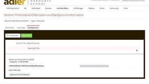 Adler LiveText: Edit Your Portfolio
