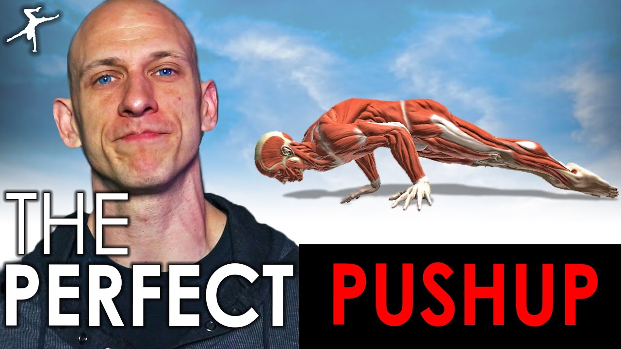 The Perfect Pushup. Beginner to Advanced. - YouTube