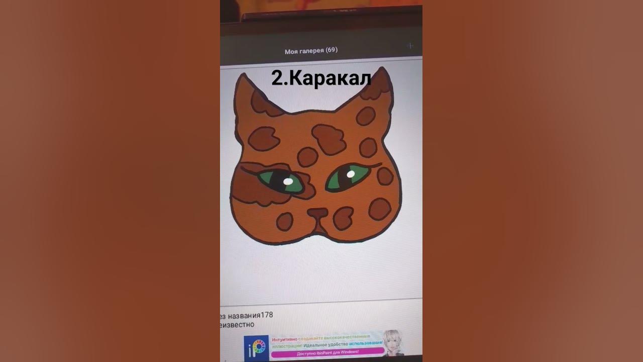 идеи для масок с квд берёте отмечайте #кошка #квд #спорт #квадробика ...