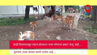 मोकाट कुत्र्याने गावातील नागरिकान मध्ये भीतीचे वातावरण....