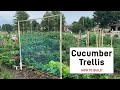 How to Build Basic Cucumber Trellis