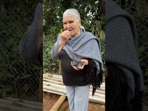 Miren Lo Que Amos Encontramos Mi Gente, Son Uvas De Campo #demiranchoatucocina #comidamexicana