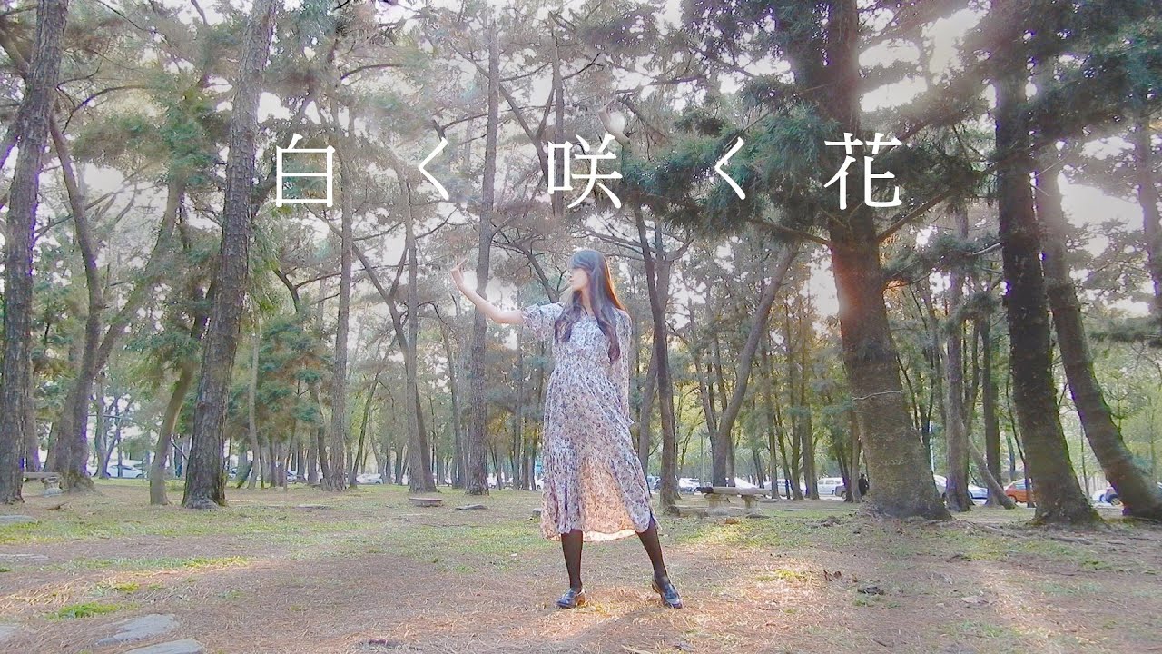 白桐 白く咲く花 小倉唯 踊ってみた 初投稿 Videos Wacoca Japan People Life Style
