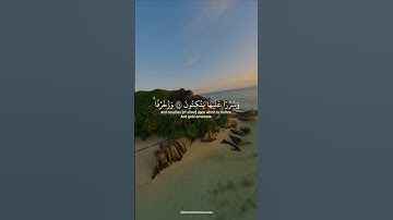 EXQUISITE LUXURIES OF DISBELIEVERS? | Surah Az-Zukhruf| سورة الزخرف | Yasser Al Dosari | ياسرالدوسري