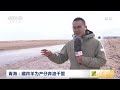 [中国三农报道]青海：可可西里藏羚羊迁徙|农业致富经 Agriculture And Farming
