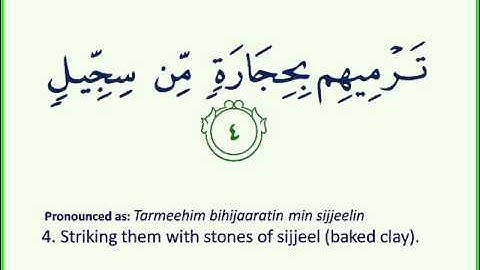 105 Surah Al-Feel سورة الفیل بصوت الشيخ سعد الغامدي