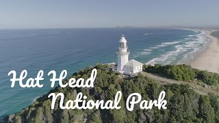 Hat Head National Park (whale watching)