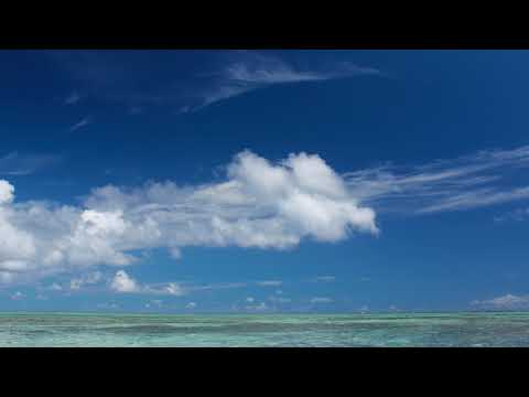 Get Wild TROPICAL JAPAN MIX