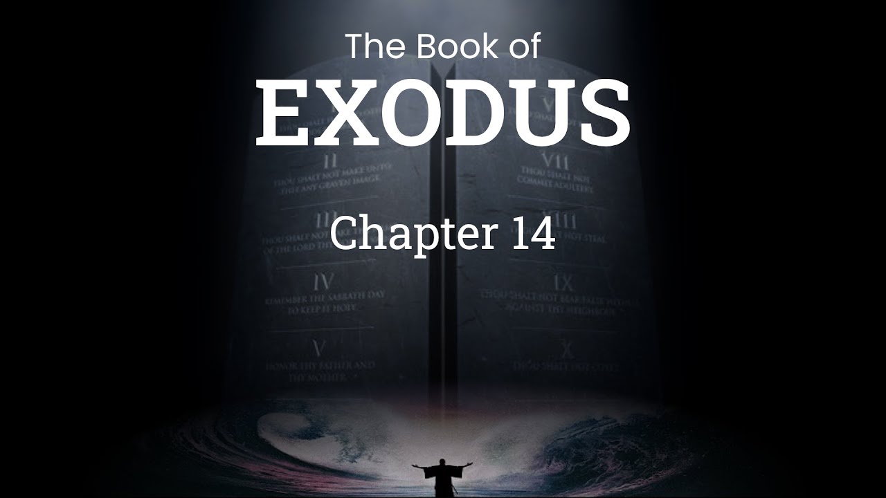 The Book Of Exodus Chapter 14 Bible Study YouTube the-book-of-exodus-chapter-14-bible-study-youtube