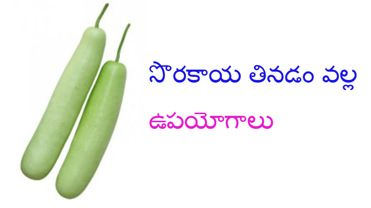 Health Benefits of Bottle Gourd ll Best Health Tips In Telugu - YouTube