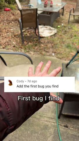 First bug I find goes in terrarium - adding what you tell me week 04