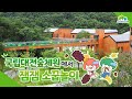 🌳국립대전숲체원 월간놀이숲 9월호 소식