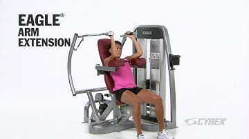 Cybex Eagle Arm Extension
