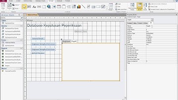 MS Access 2010- Tab in Form.avi