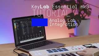 Tutorials | KeyLab Essential mk3 - Using Analog Lab