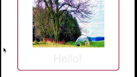 Adobe Muse: States Button