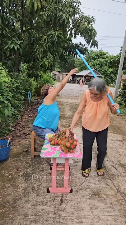 mau ketawa takut dosa hiburan kocak warga  62 #funny #comedy #ngakak #viralshort