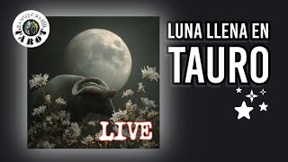 Savitz Da fool. TAROT || LUNA LLENA EN TAURO ♉🐂