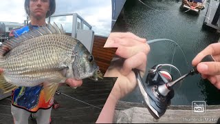 24 hour sight fishing for bream at sydney harbour with soft plastics screenshot 3