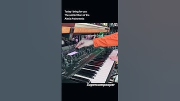 Subtle filtering with the Alesis Andromeda A6 🥳🤩😍 #alesisandromeda #analog #synthesizer