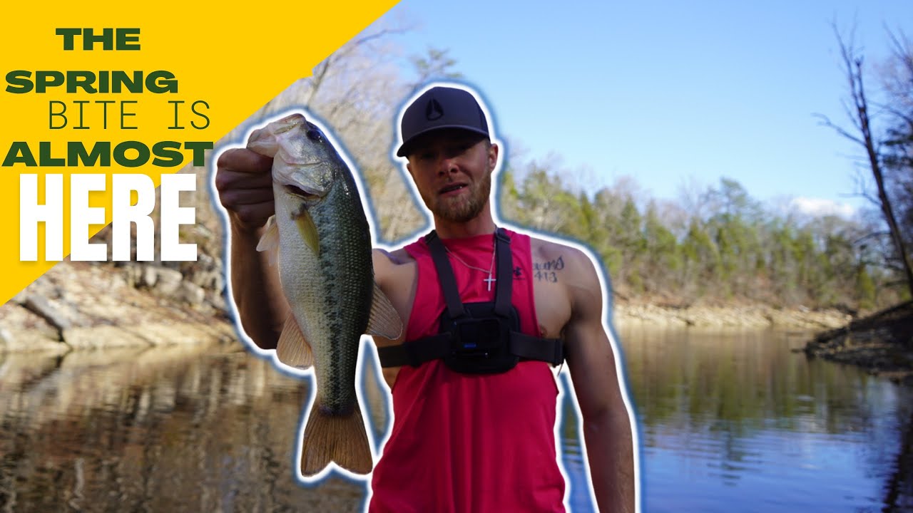 bass fishing Norris lake early March.