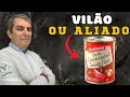 Molho pronto de tomate: Descubra se ele é vilão ou aliado