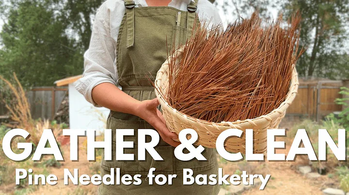 How to Find the Best Pine Needles for Basket Weaving