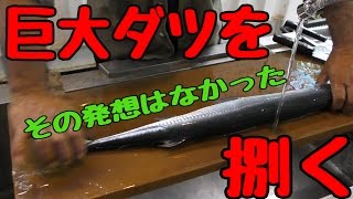 【プロ捌き】イカダ釣りで新種を狙う！ 3話