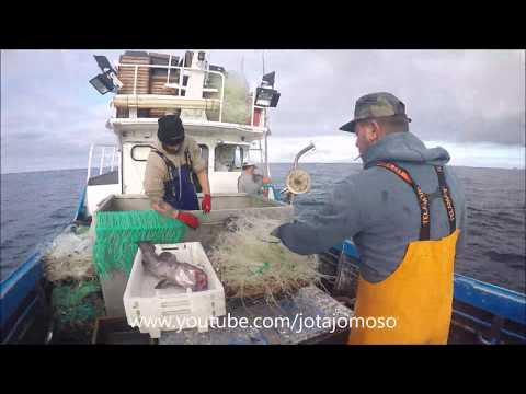 Fishing video, Long line fishing, Pêche à la ligne, Pesca de Palangre de fundo, صيد السمك الطويل