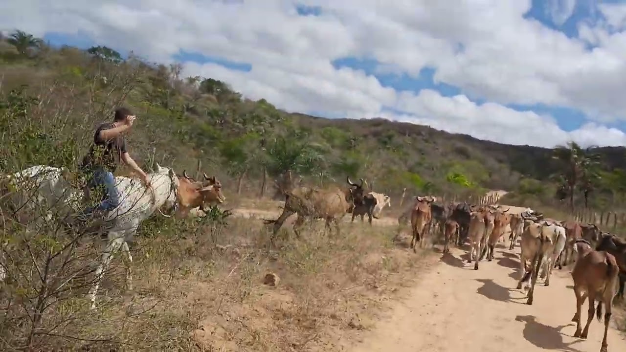 17 de janeiro de 2026