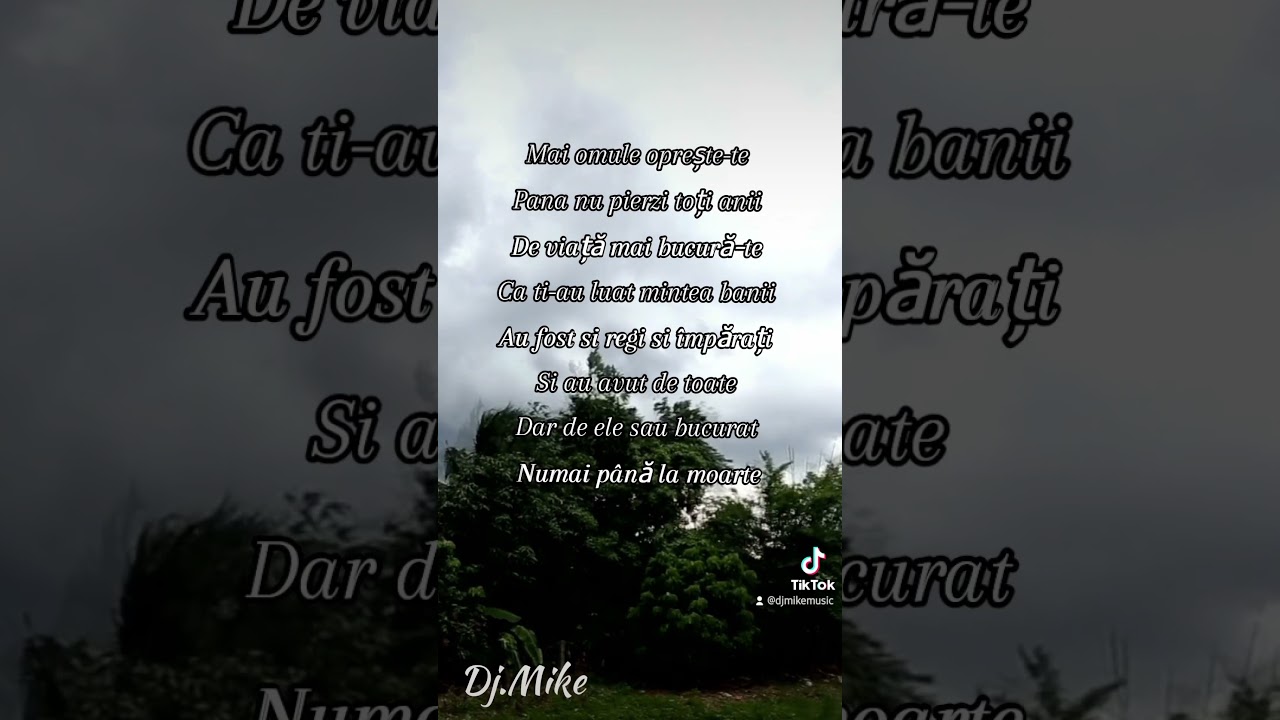 Mai omule oprește-te 