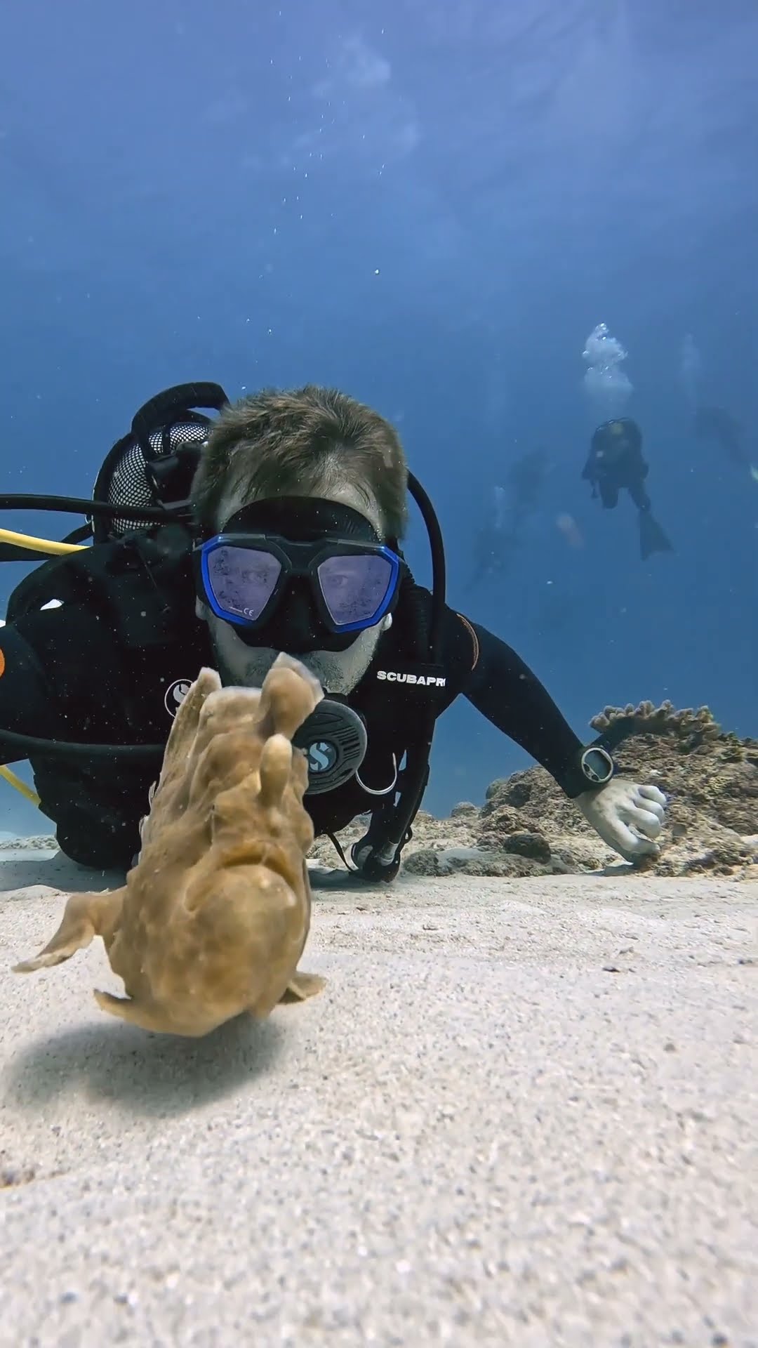 Diver Has a Rare Encounter With an Anglerfish || ViralHog