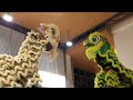 舞龙麒狮2024 CNY Spectacular Yu Yi Lion Dance Extravaganza Church of Mary Immaculate Kota Kinabalu Sabah