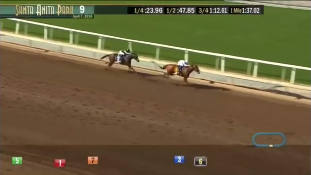forgotten-american-champion-three-year-old-male-horse-winners