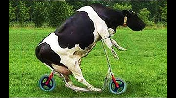 TO BE CONTINUED MEMES (COMPILATION) #1