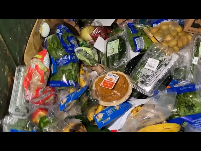 Dumpster Diving Aldi #45 Free Grocery Shopping! class=