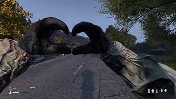 DayZ: A friendly encounter