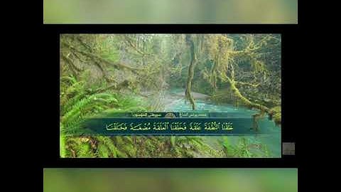 ترتيل جميل للقارئ محمد يونس الدباغ-سورة المؤمنون