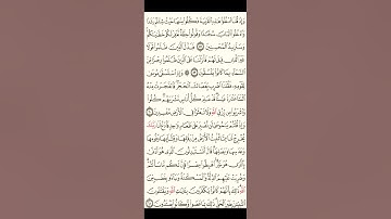 كل يوم 5 صفحات من القرآن الكريم حتى لا تكون هاجر #ياسر_الدوسري#القران_الكريم #الفاتحة