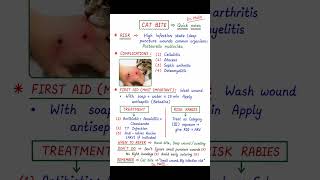 #catbite #nursing #medicalstudent #doctor #explore #youtubeshorts #education #viral #nursingstudent