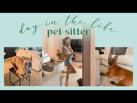 day in the life | pet-sitter edition with advice + tips 🐶🌷