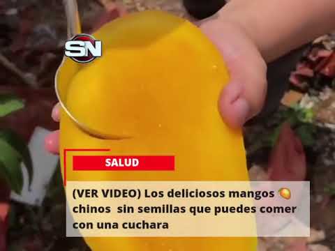 Video: ¿Los mangos tienen semillas?